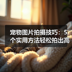 宠物图片拍摄技巧：5个实用方法轻松拍出高颜值照片（图2）