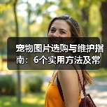 宠物图片选购与维护指南：6个实用方法及常见问题解析