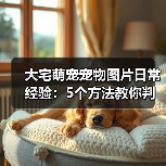 大宅萌宠宠物图片日常经验：5个方法教你判断需求与维护