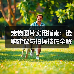 宠物图片实用指南：选购建议与拍摄技巧全解析（图3）