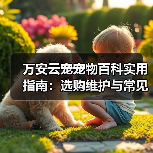万安云宠宠物百科实用指南：选购维护与常见问题解析