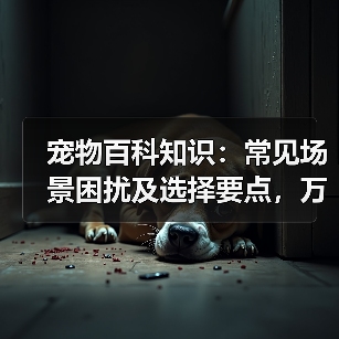 宠物百科知识：常见场景困扰及选择要点，万安云宠5大建议（图4）