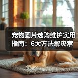 宠物图片选购维护实用指南：6大方法解决常见问题（图2）