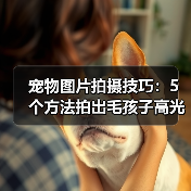 宠物图片拍摄技巧：5个方法拍出毛孩子高光时刻（图4）