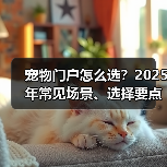 宠物门户怎么选？2025年常见场景、选择要点与注意事项（图1）