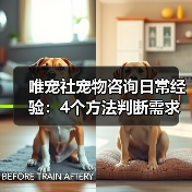 唯宠社宠物咨询日常经验：4个方法判断需求到使用维护（图2）