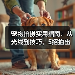 宠物拍摄实用指南：从光线到技巧，5招拍出萌宠大片（图2）