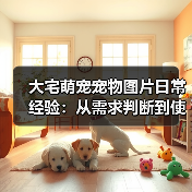大宅萌宠宠物图片日常经验：从需求判断到使用维护宝典（图4）