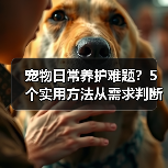 宠物日常养护难题？5个实用方法从需求判断到使用维护（图3）