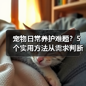 宠物日常养护难题？5个实用方法从需求判断到使用维护（图4）