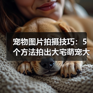 宠物图片拍摄技巧：5个方法拍出大宅萌宠大片2026（图3）