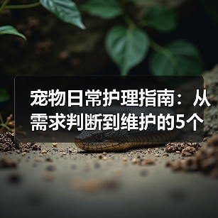 宠物日常护理指南：从需求判断到维护的5个关键方法（图3）