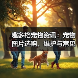 趣多格宠物资讯：宠物图片选购、维护与常见问题解析指南（图3）