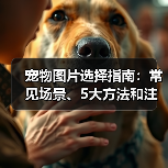 宠物图片选择指南：常见场景、5大方法和注意事项（图4）