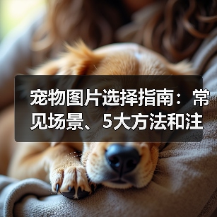 宠物图片选择指南：常见场景、5大方法和注意事项（图3）