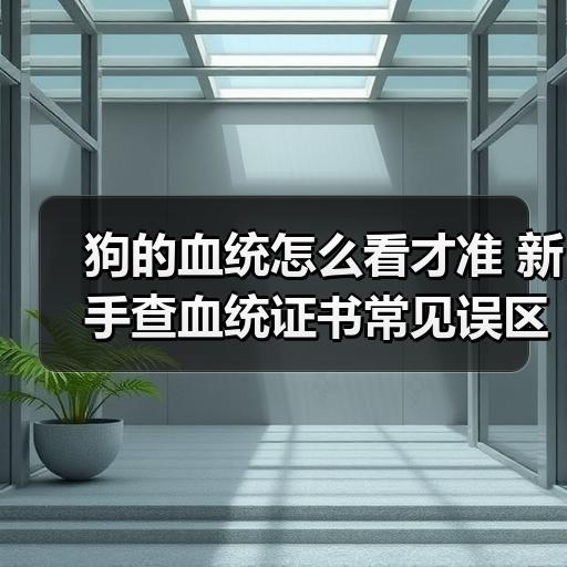 狗的血统怎么看才准 新手查血统证书常见误区