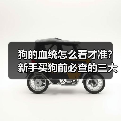 狗的血统怎么看才准？新手买狗前必查的三大判断标准