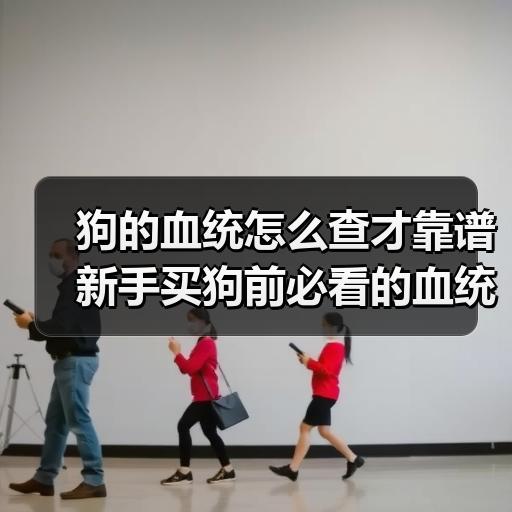 狗的血统怎么查才靠谱 新手买狗前必看的血统判断方法