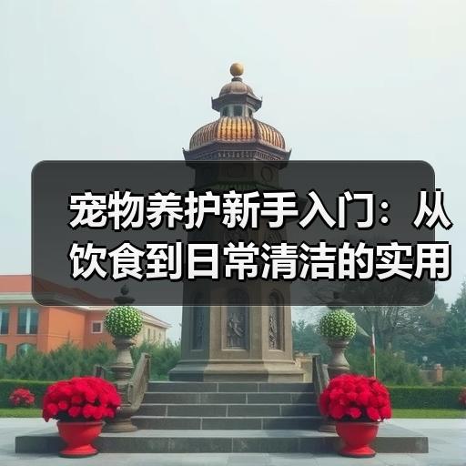 宠物养护新手入门：从饮食到日常清洁的实用方法