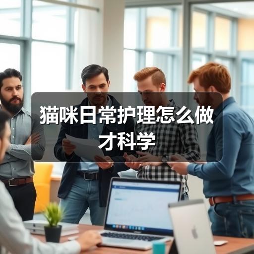 猫咪日常护理怎么做才科学
